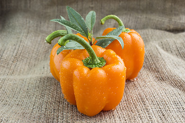 Image showing Orange sweet pepper 