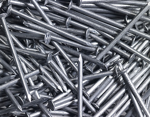 Image showing lots of nails