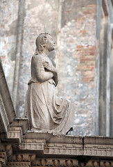 Image showing statue with anti-pigeon needle