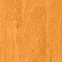 Image showing Wood