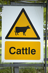 Image showing Cattle sign