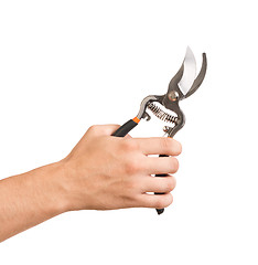 Image showing Garden scissors