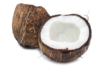 Image showing Coconut