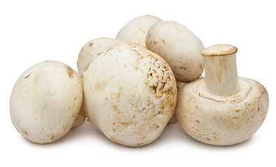 Image showing Champignon mushrooms