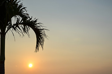 Image showing Tropical Sunset