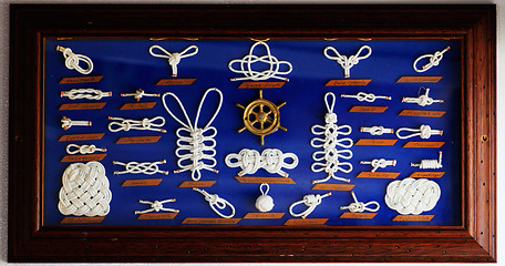 Image showing A decorative collection of marine knots