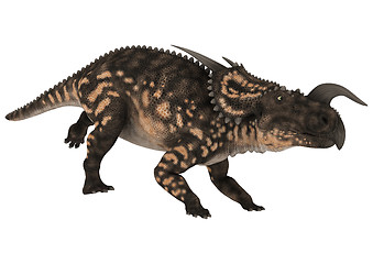 Image showing Dinosaur Einiosaurus