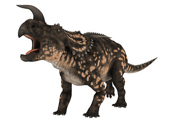 Image showing Dinosaur Einiosaurus