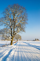 Image showing Winter landscape with road to a countryside