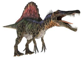 Image showing Dinosaur Spinosaurus