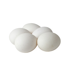 Image showing White Eggs