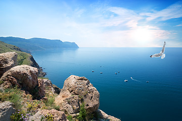 Image showing Gull over the sea