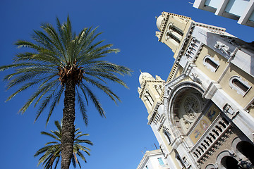 Image showing Palm tree and cathedral in Tunis