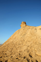 Image showing Camel head rock vertical