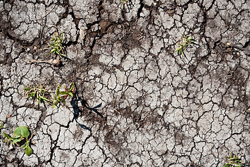 Image showing Dry land