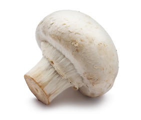 Image showing Champignon mushroom