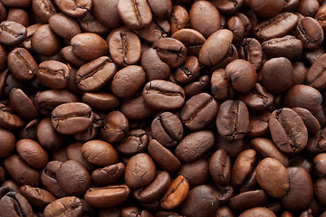 Image showing Coffee beans