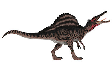 Image showing Dinosaur Spinosaurus