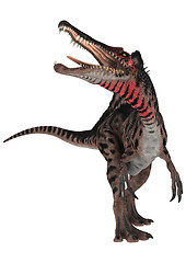 Image showing Dinosaur Spinosaurus