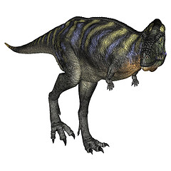 Image showing Dinosaur Aucasaurus