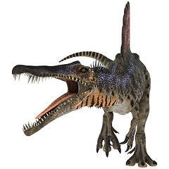 Image showing Dinosaur Spinosaurus