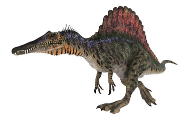 Image showing Dinosaur Spinosaurus