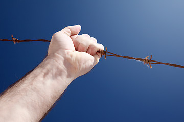 Image showing barbed wire