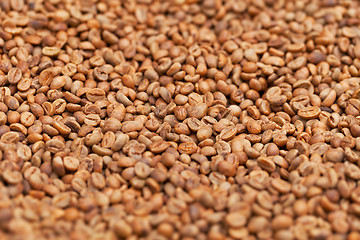 Image showing Raw coffee beans close up