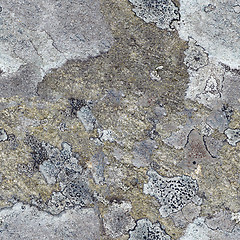 Image showing Seamless pattern - granite rock with north lichen