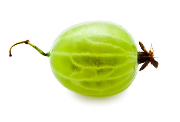 Image showing Gooseberry