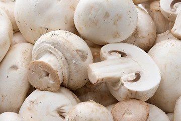 Image showing Champignon mushrooms