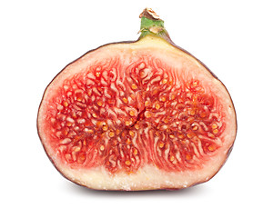 Image showing Fig