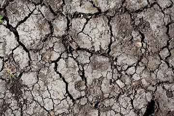 Image showing Dry land