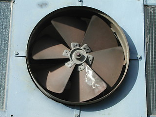 Image showing Fan