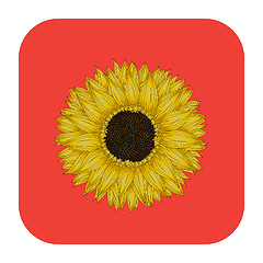 Image showing Sunflower icon