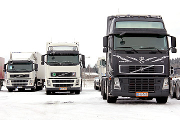 Image showing Group of Volvo Trucks in Winter Conditions