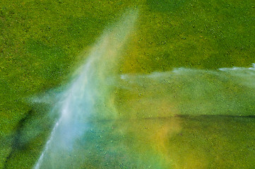 Image showing Watering the green