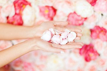 Image showing womans cupped hands with flower petals