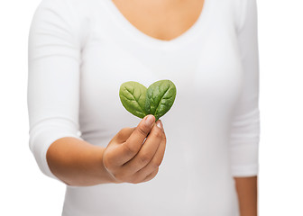 Image showing closeup woman hand with green sprout