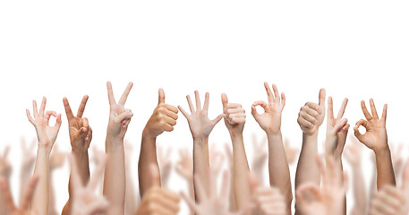 Image showing human hands showing thumbs up, ok and peace signs