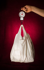 Image showing Weigh scales and bag