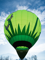 Image showing Green Balloon 