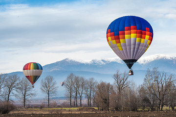 Image showing Multicolored Balloon in the blue sky