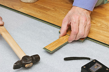 Image showing Master works on laying laminate panels