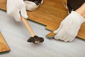 Image showing Carpenter works on laying laminate panels