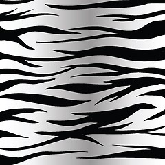 Image showing zebra skin