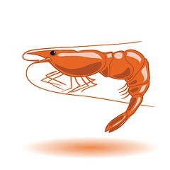 Image showing orange shrimp