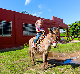 Image showing child riding a miniature donkey