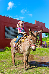 Image showing child riding a miniature donkey