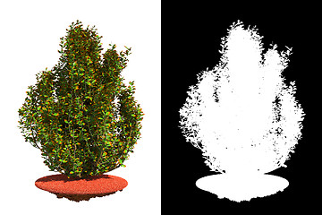 Image showing Fading Bush with Detail Raster Mask.